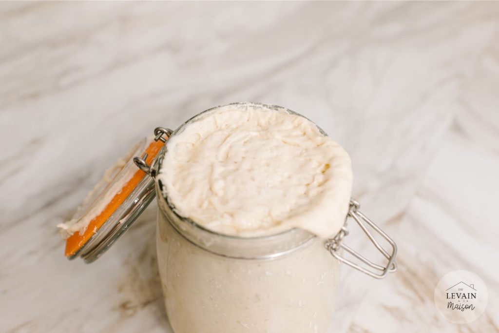 pot de levain ouvert avec bulles