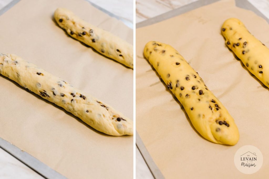 baguettes avant et après pousse